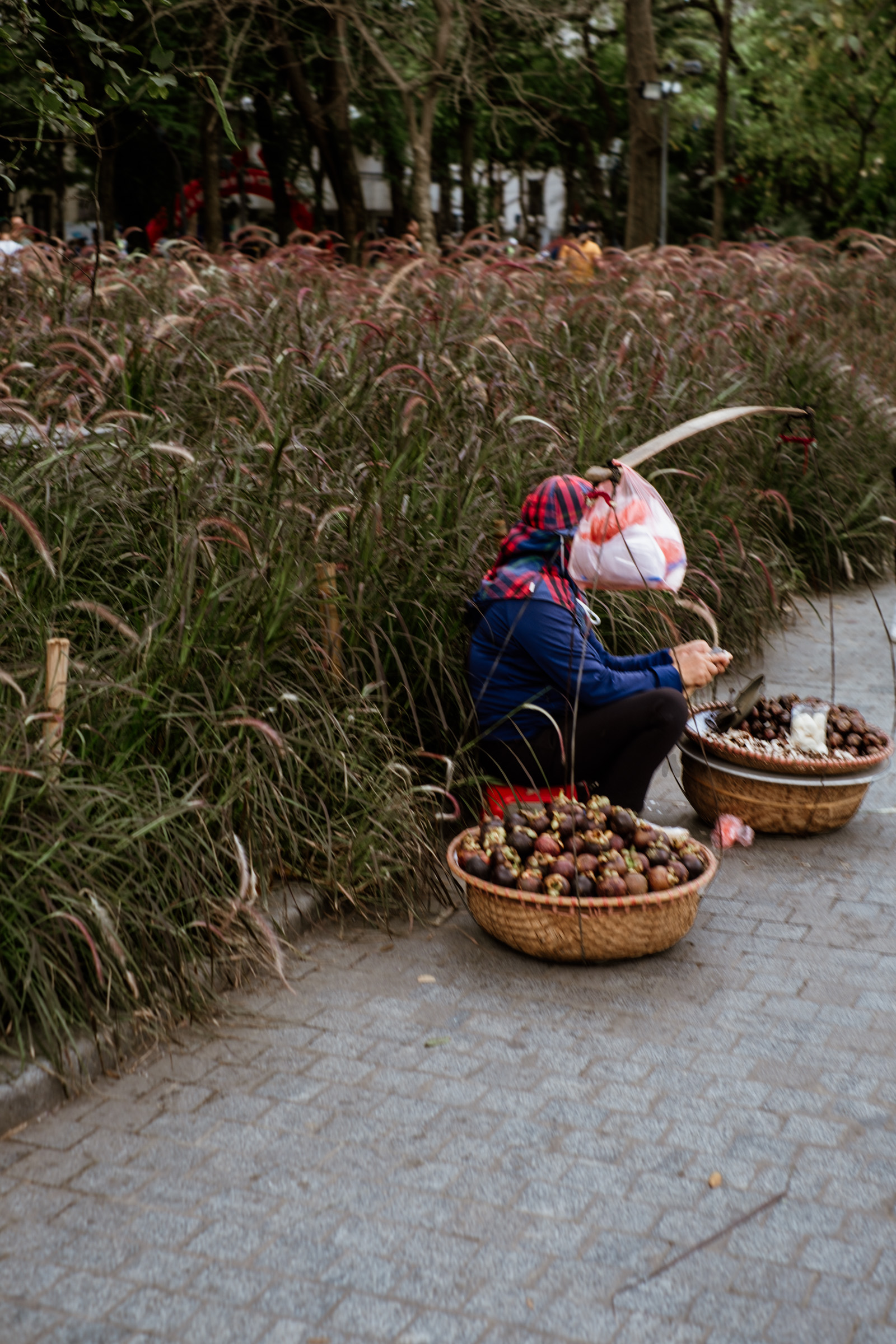 A vendor sitting on a cobblestone path beside tall grass, selling chestnuts from woven baskets. The vendor wears a blue jacket and a red and white checkered scarf.