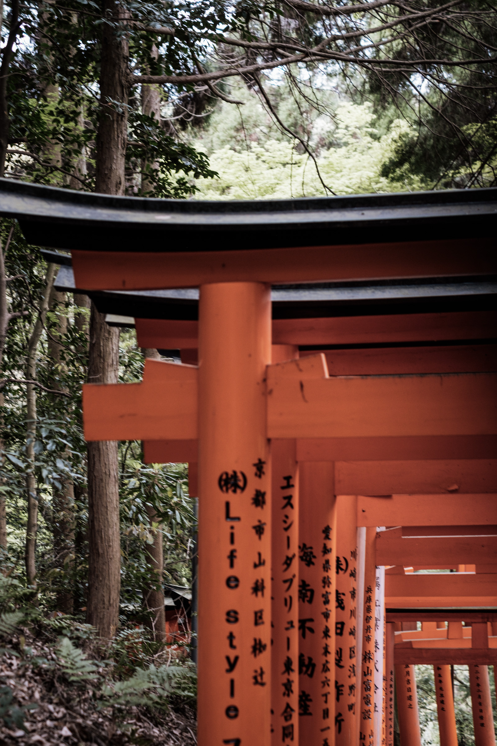 A serene pathway lined with vibrant orange torii gates in a lush green forest, showcasing Japanese architecture and nature.