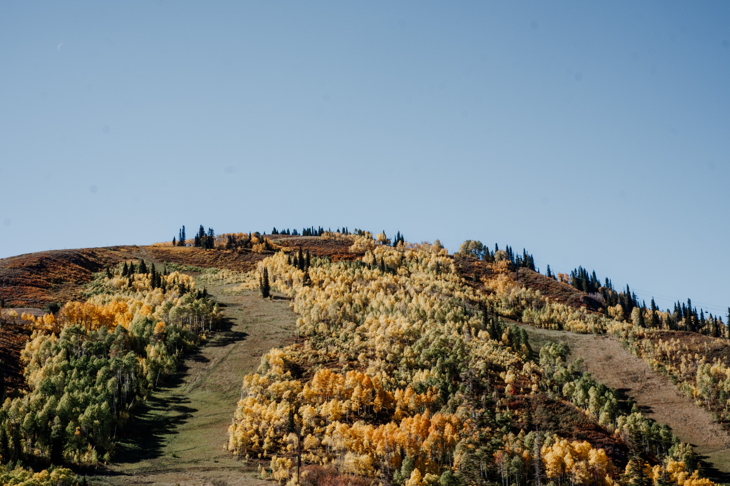 A scenic view of a hillside covered in vibrant autumn foliage, featuring a mix of golden and green trees under a clear blue sky.